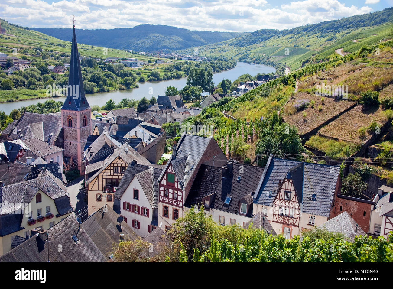 The wine village Uerzig with church St. Maternus, Moselle river, Rhineland-Palatinate, Germany, Europe Stock Photo