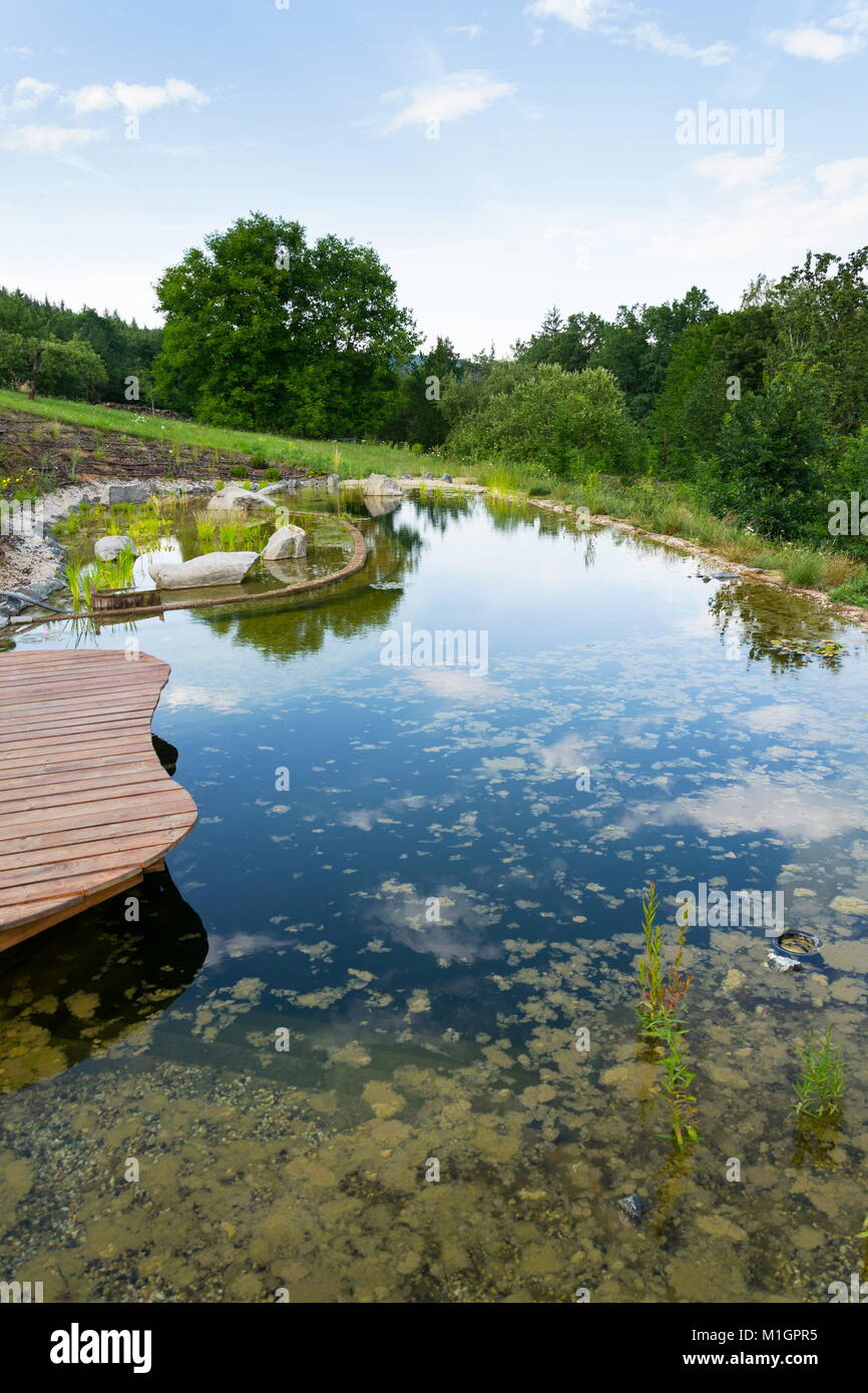 Plants used at natural swimming pond for purifying water Stock Photo
