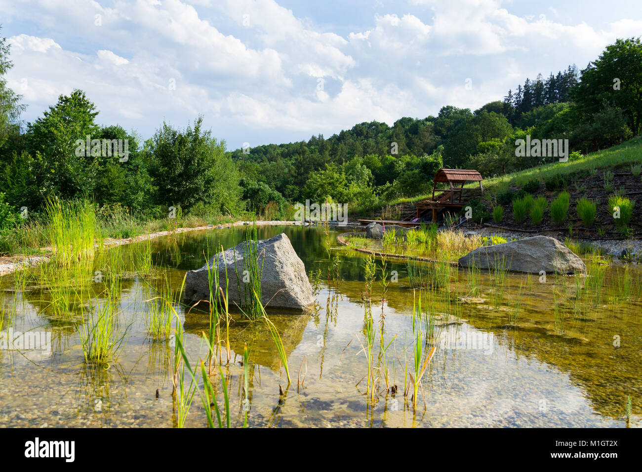 Plants used at natural swimming pond for purifying water Stock Photo