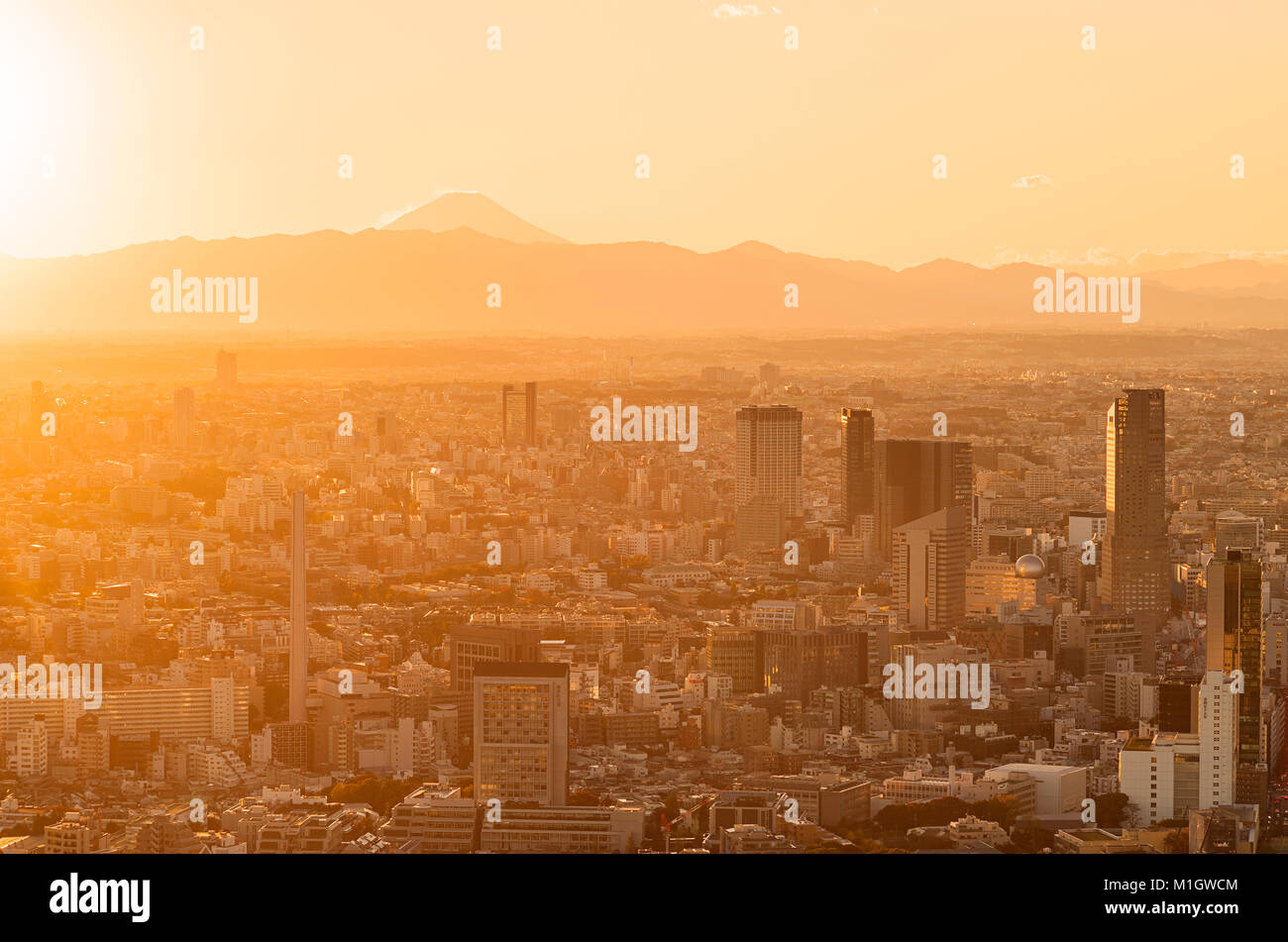 Tokyo View Sunset Stock Photo