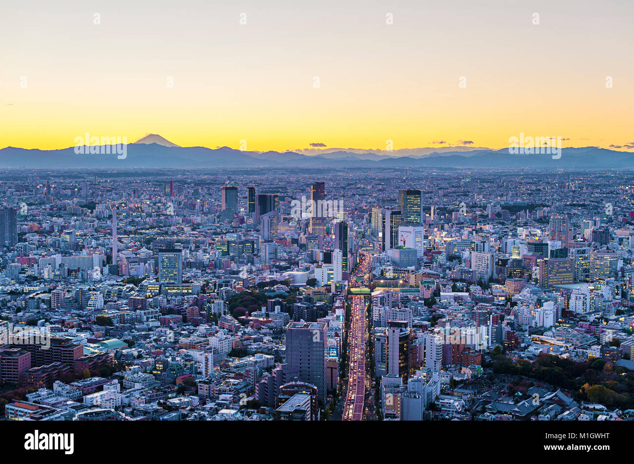 Aerial Cityscape View Tokyo Japan Stock Photo