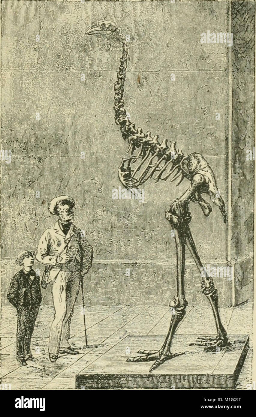 This 1889 textbook on zoology is designed for high school students