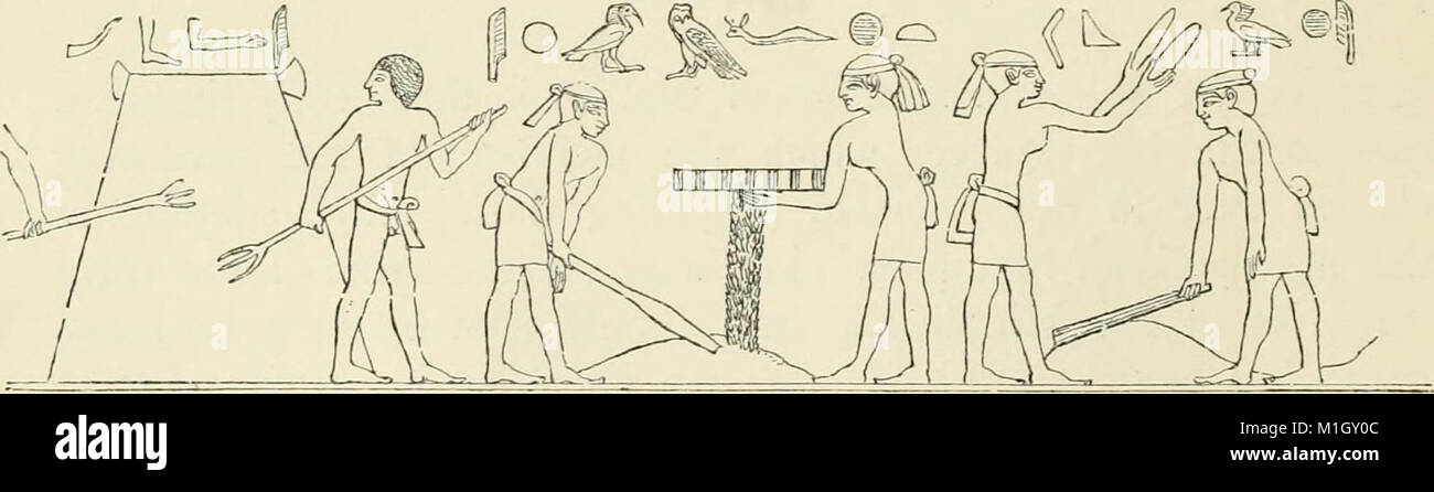 A history of art in ancient Egypt (1883) (14769383951 Stock Photo - Alamy