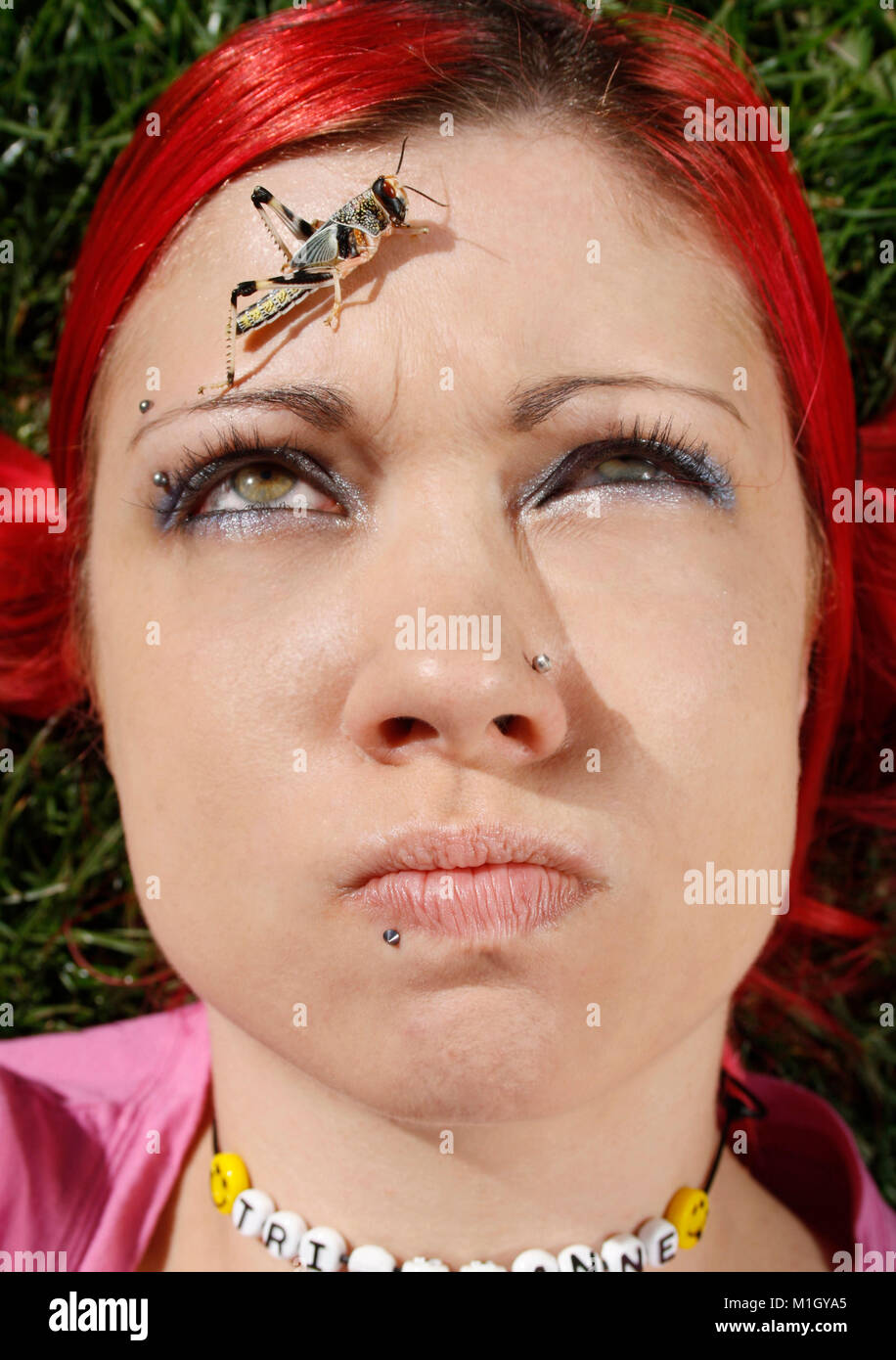 Red head with locust Stock Photo