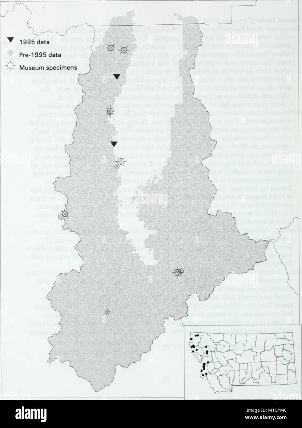 Amphibian and reptile survey of the Bitterroot National Forest - 1995