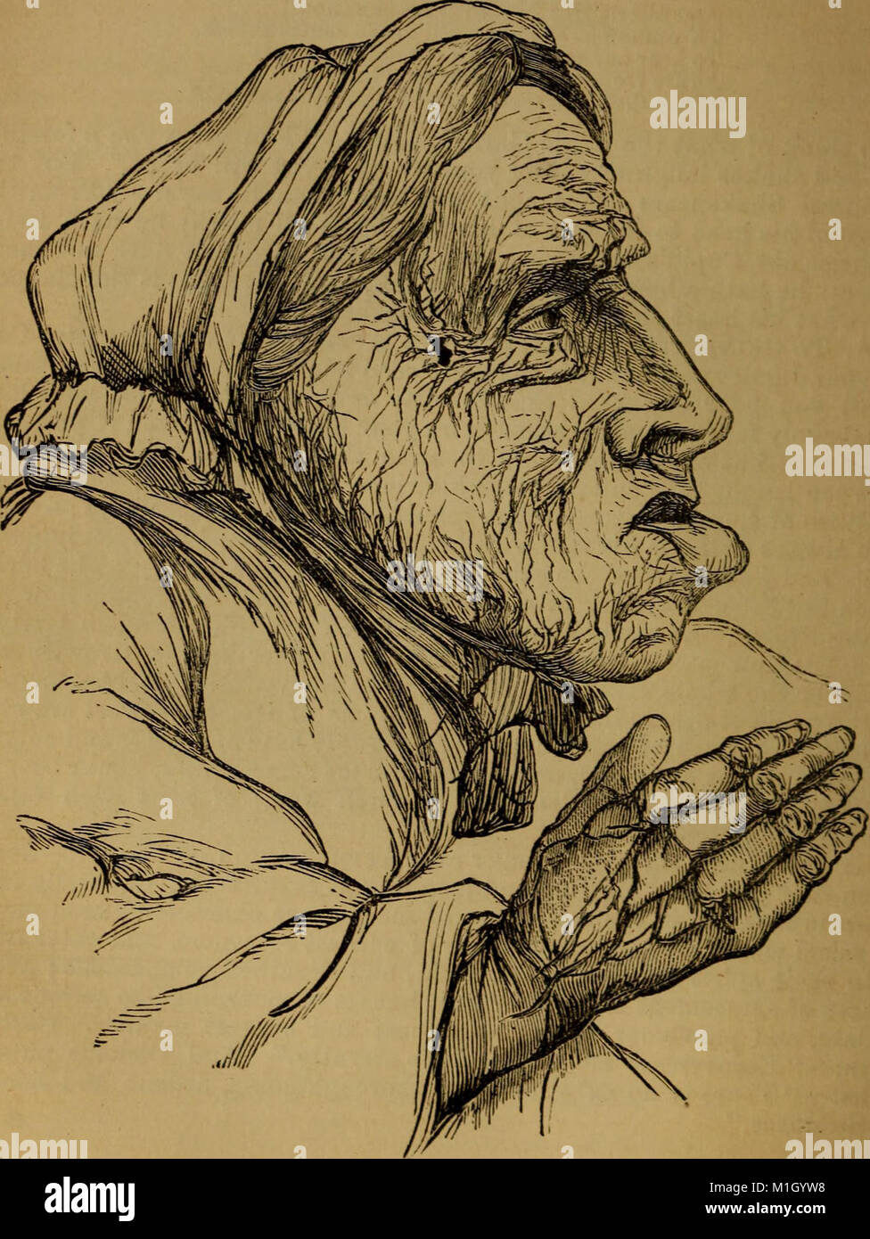 Physiological Chart An original and illustrated physiological and physiognomical chart ...