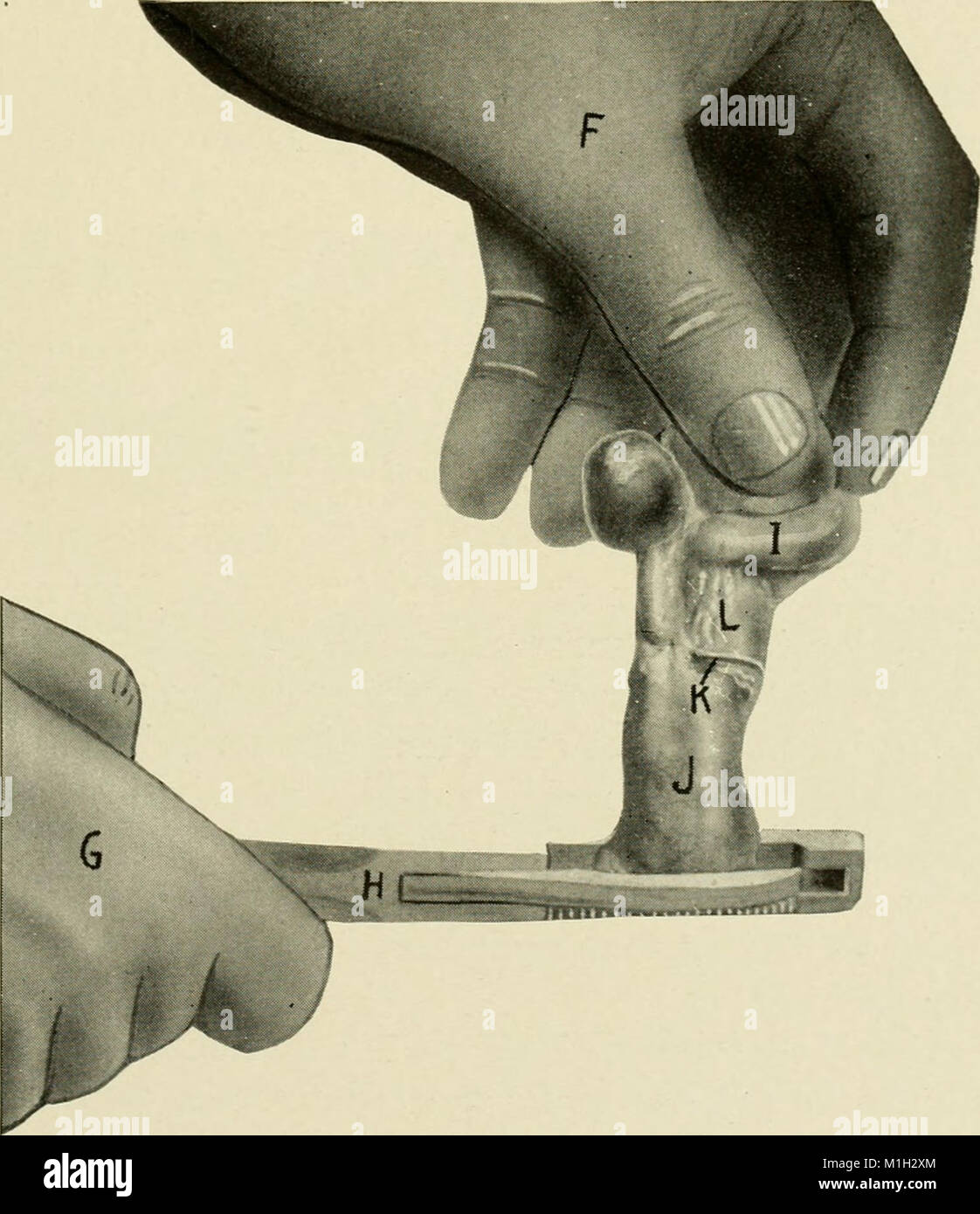 *Animal Castration* (1914) is a practical guide aimed at students and ...