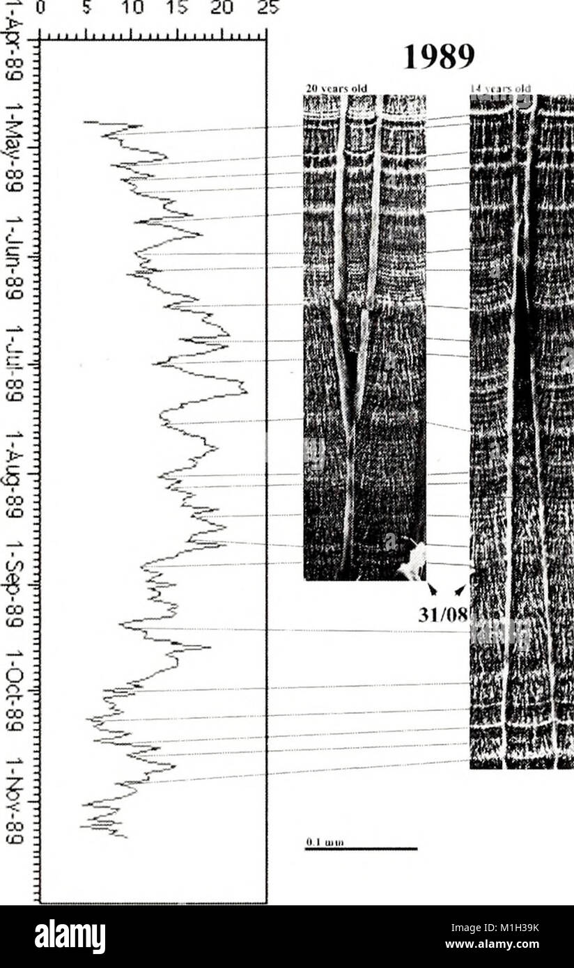 The American Malacological Bulletin (2001) covers research and findings ...