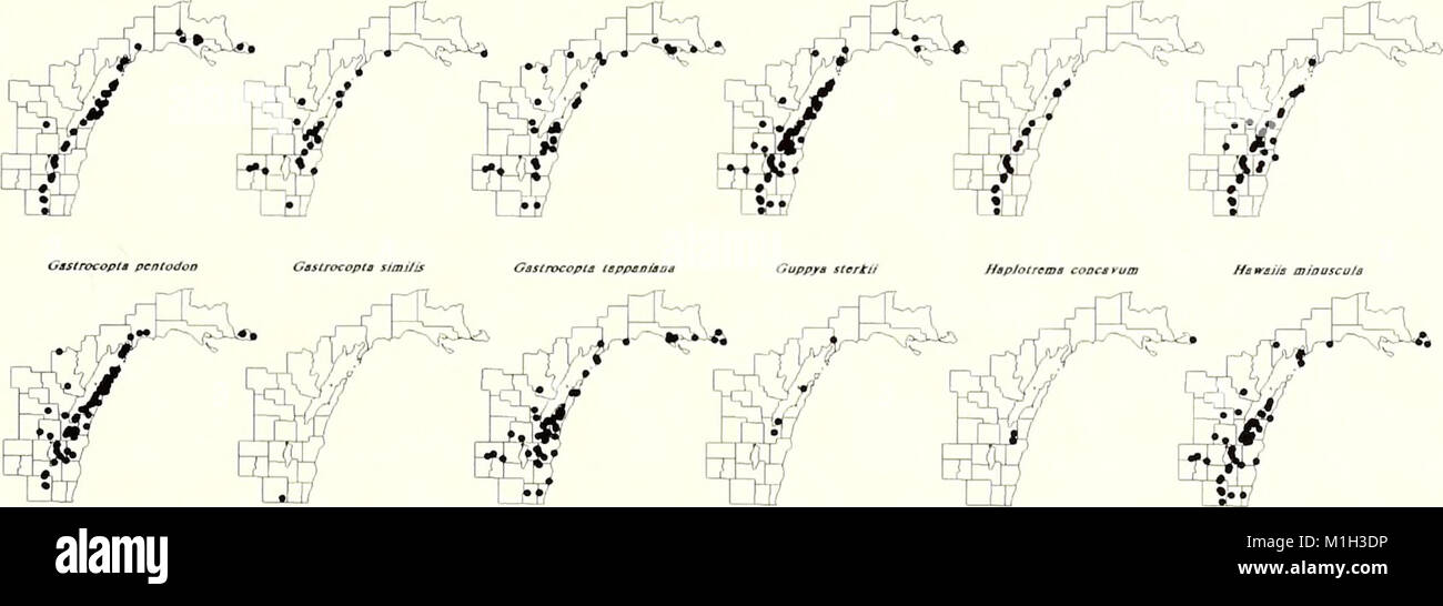 The 2001 edition of the American Malacological Bulletin focuses on ...