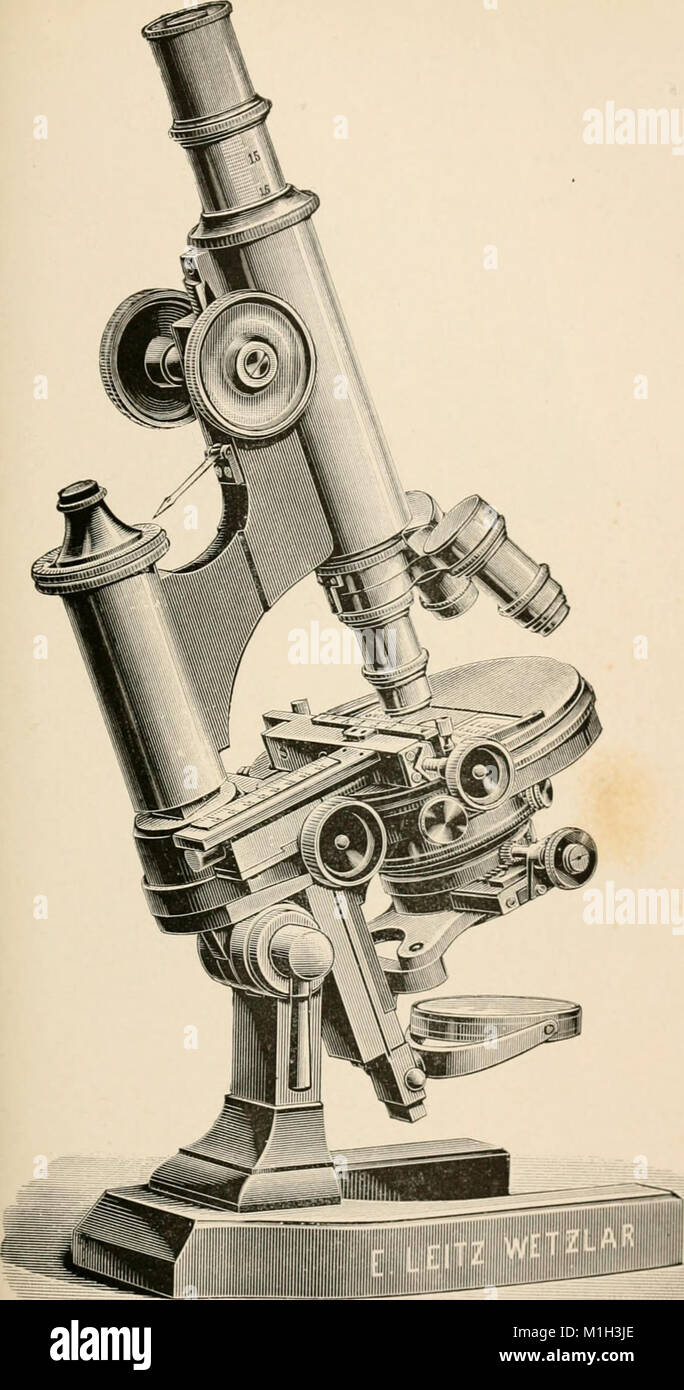 Annales de la Socit belge de microscopie (1875-1907) (18017917459) Stock Photo