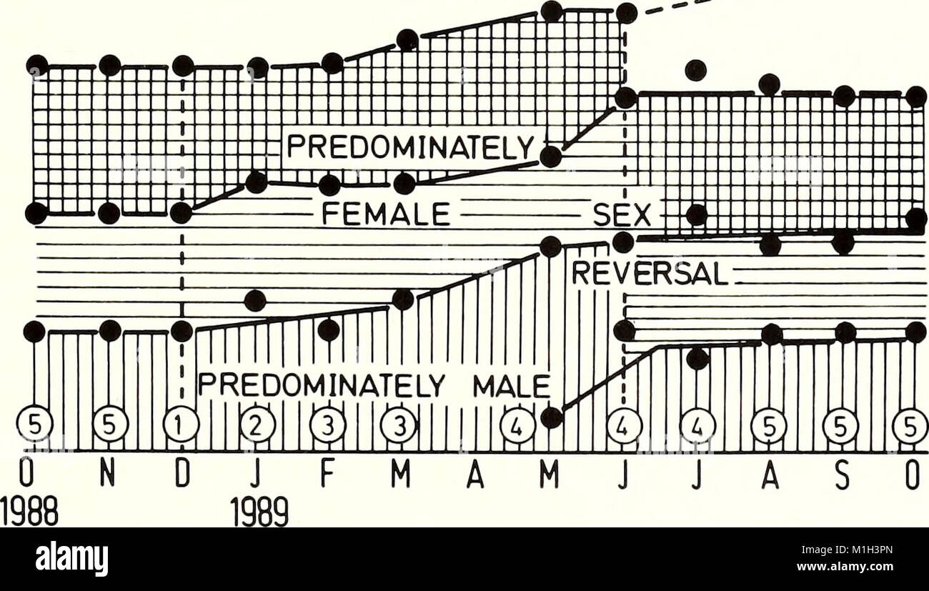 The American Malacological Bulletin from 1990 discusses research on ...