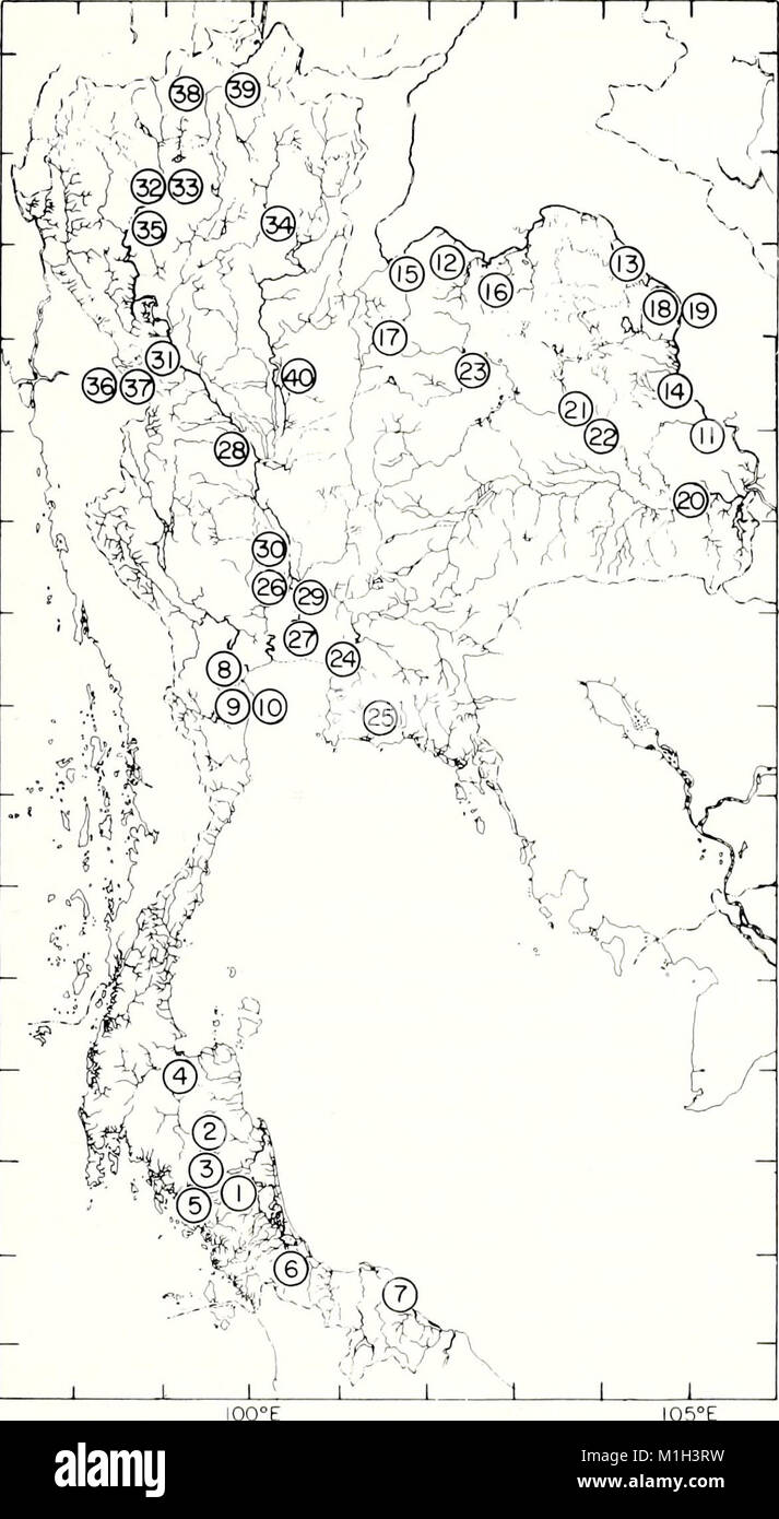 The American Malacological Bulletin (1990) covers research on mollusks ...