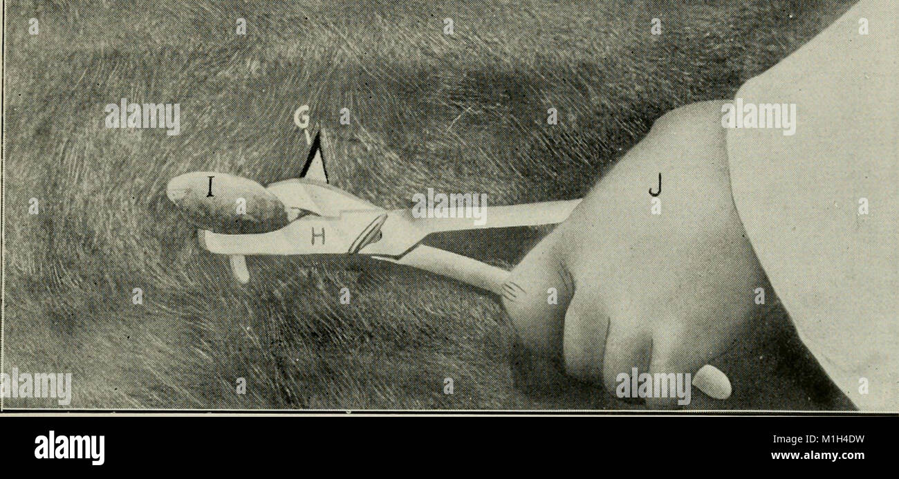 Animal Castration (1920) is a practical guide for students and ...