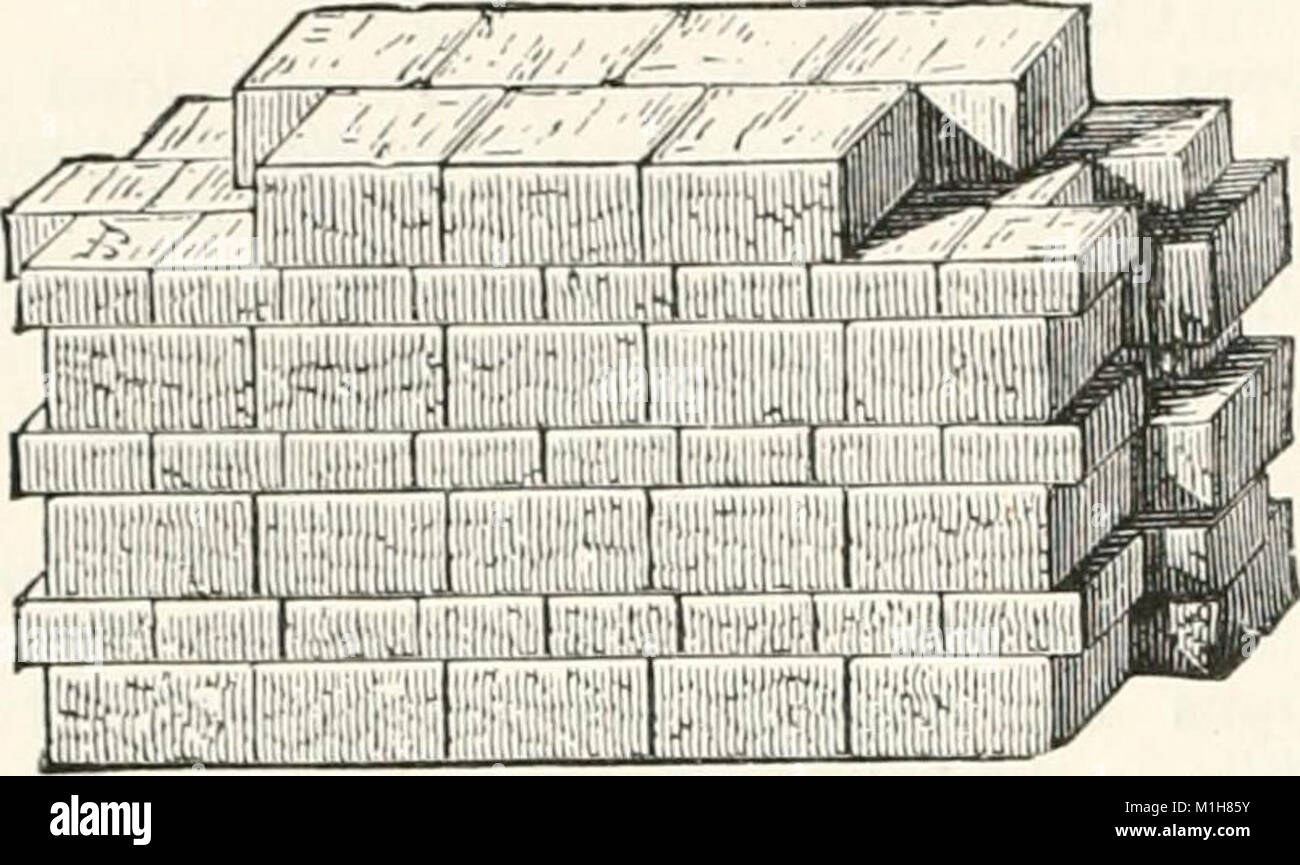 An illustrated dictionary of words used in art and archaeology