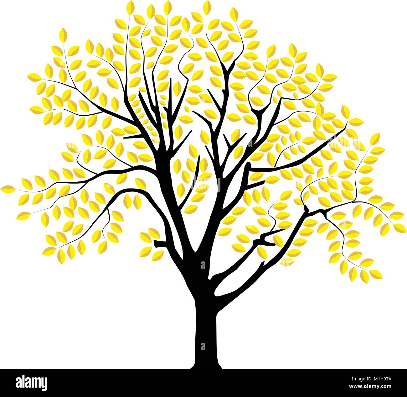 vector image of a tree in autumn Stock Vector Image & Art - Alamy