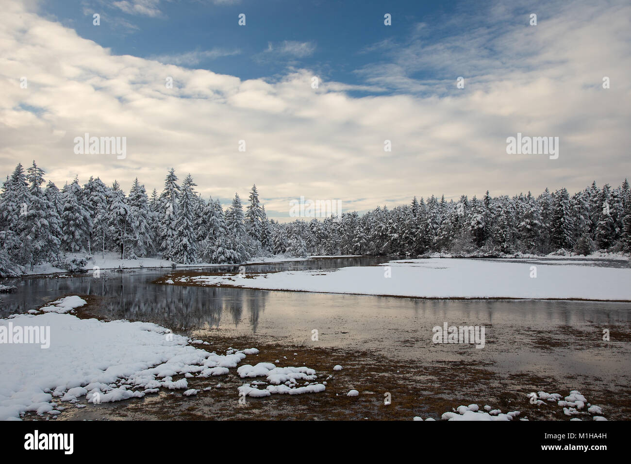 Winter landscape with flowing water, snow and snowy trees, Bloke, Slovenia Stock Photo