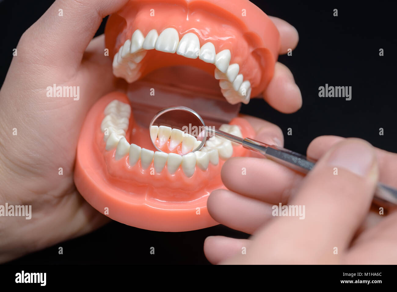 Dental model, observation using dental mirror Stock Photo Alamy