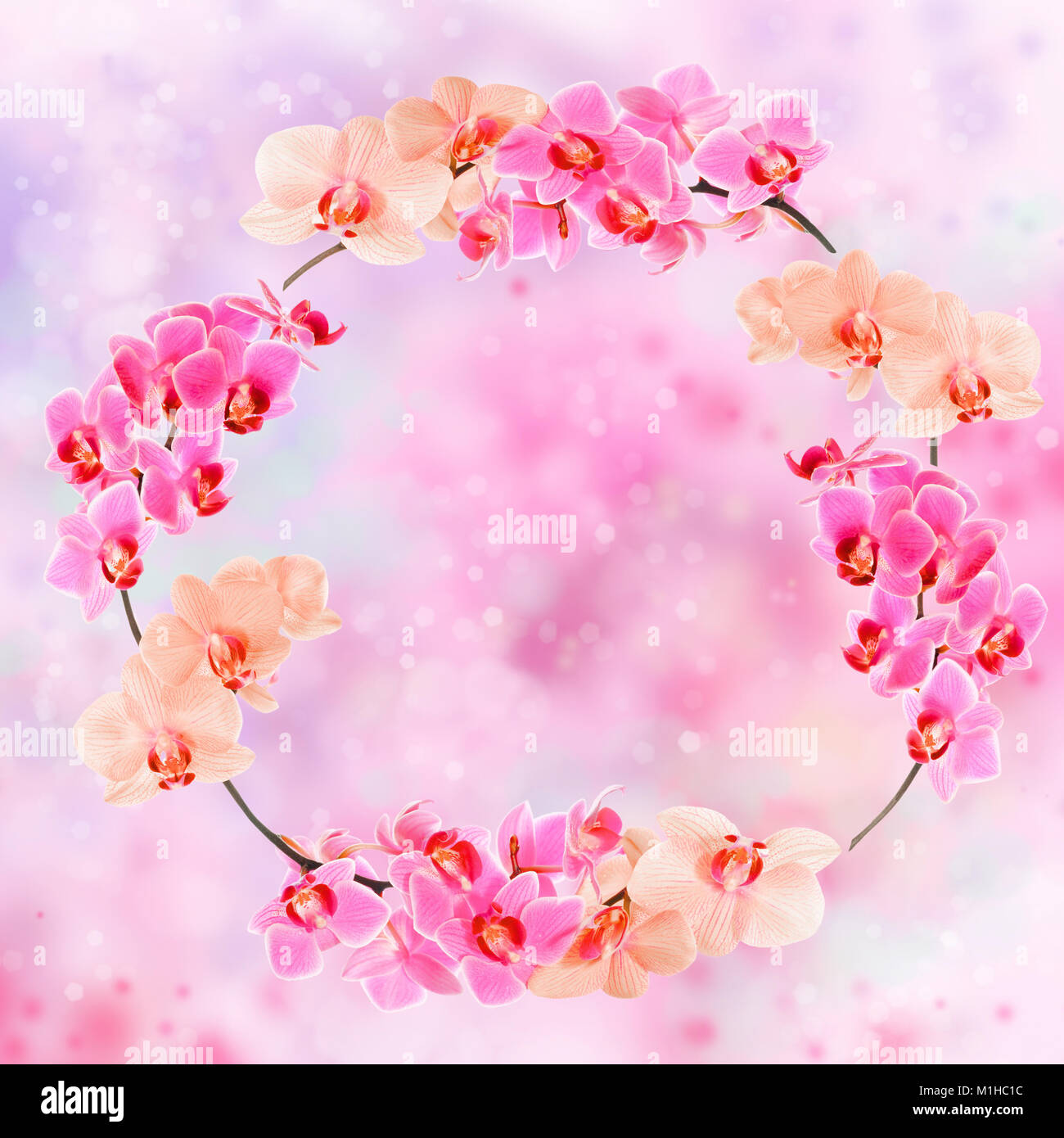 Circle frame made from Phalaenopsis orchids on abstract background, text space Stock Photo