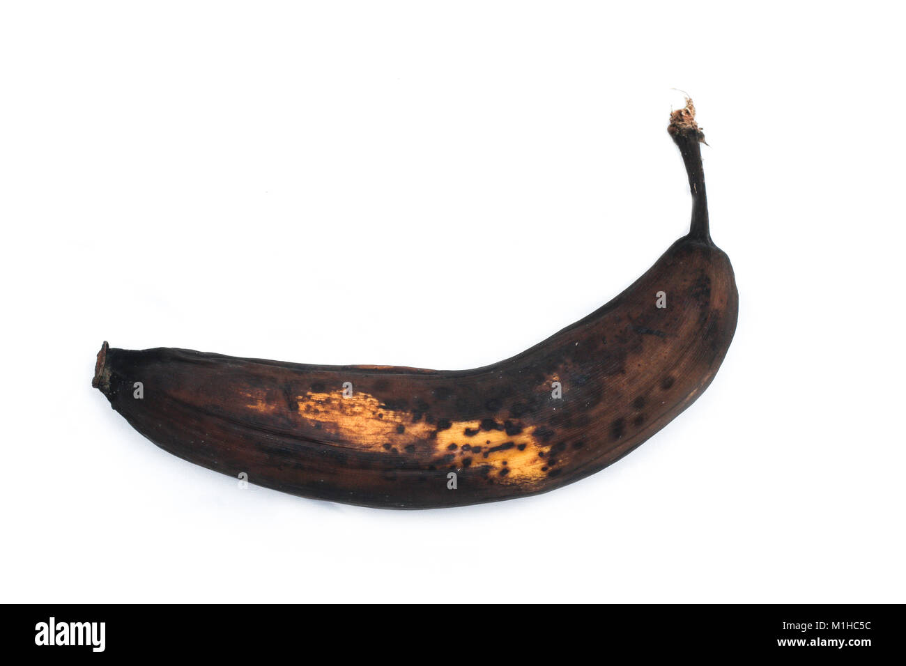 A picture of an ordinary overripe banana. It looks ugly, but still can be sweet and good to eat. Stock Photo