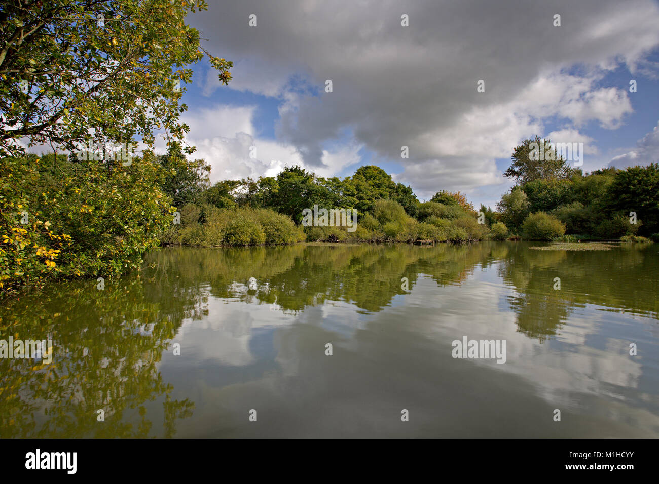 Trees and clouds reflecting in the surface of a lake Stock Photo