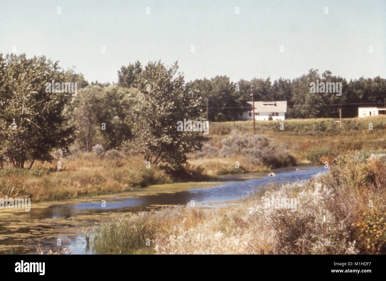 Landscape photograph of a U-shaped oxbow bend in a river, with trees, two white buildings and overhead power lines visible in the background, taken as part of an investigation into vector-borne diseases, Narrows Project, Colorado, 1976, 1976. Image courtesy CDC. () Stock Photo