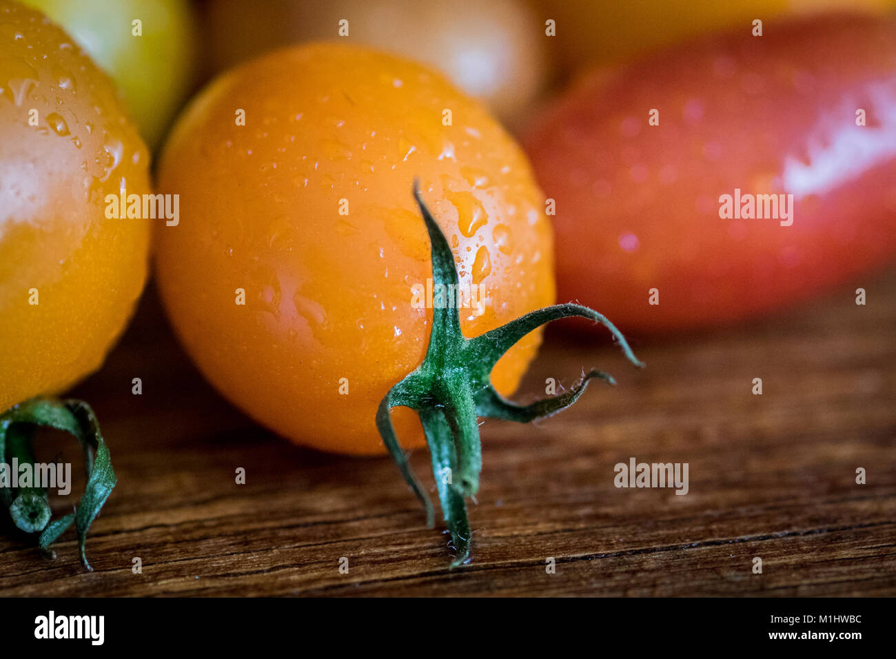 Baby Plum Tomatoes Stock Photo