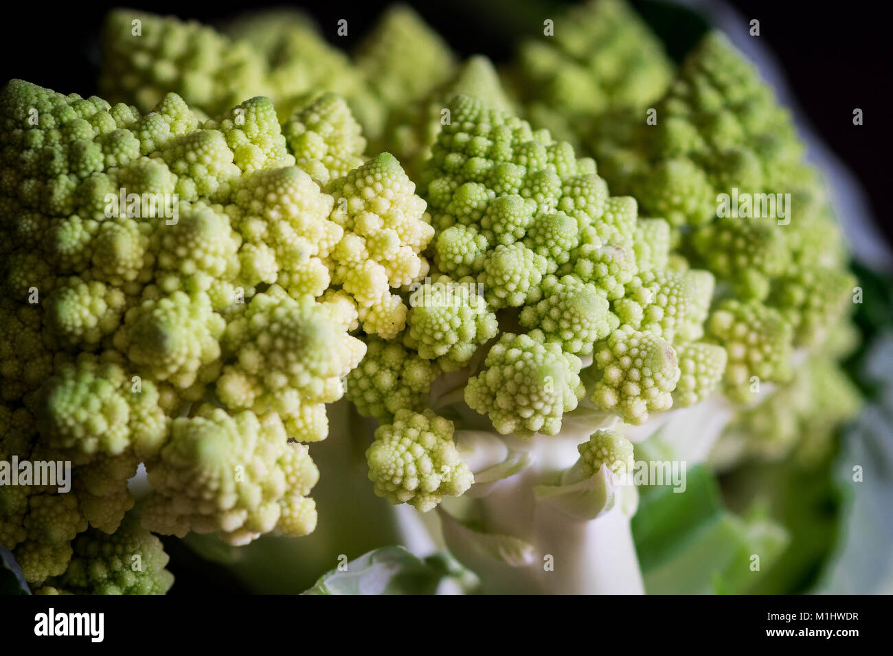 Romanesco Cauliflower Close up Stock Photo