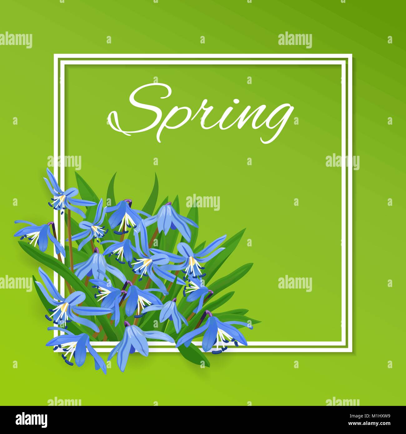 frame with spring flowers Squill, scylla. Green card with blue snowdrops Stock Vector