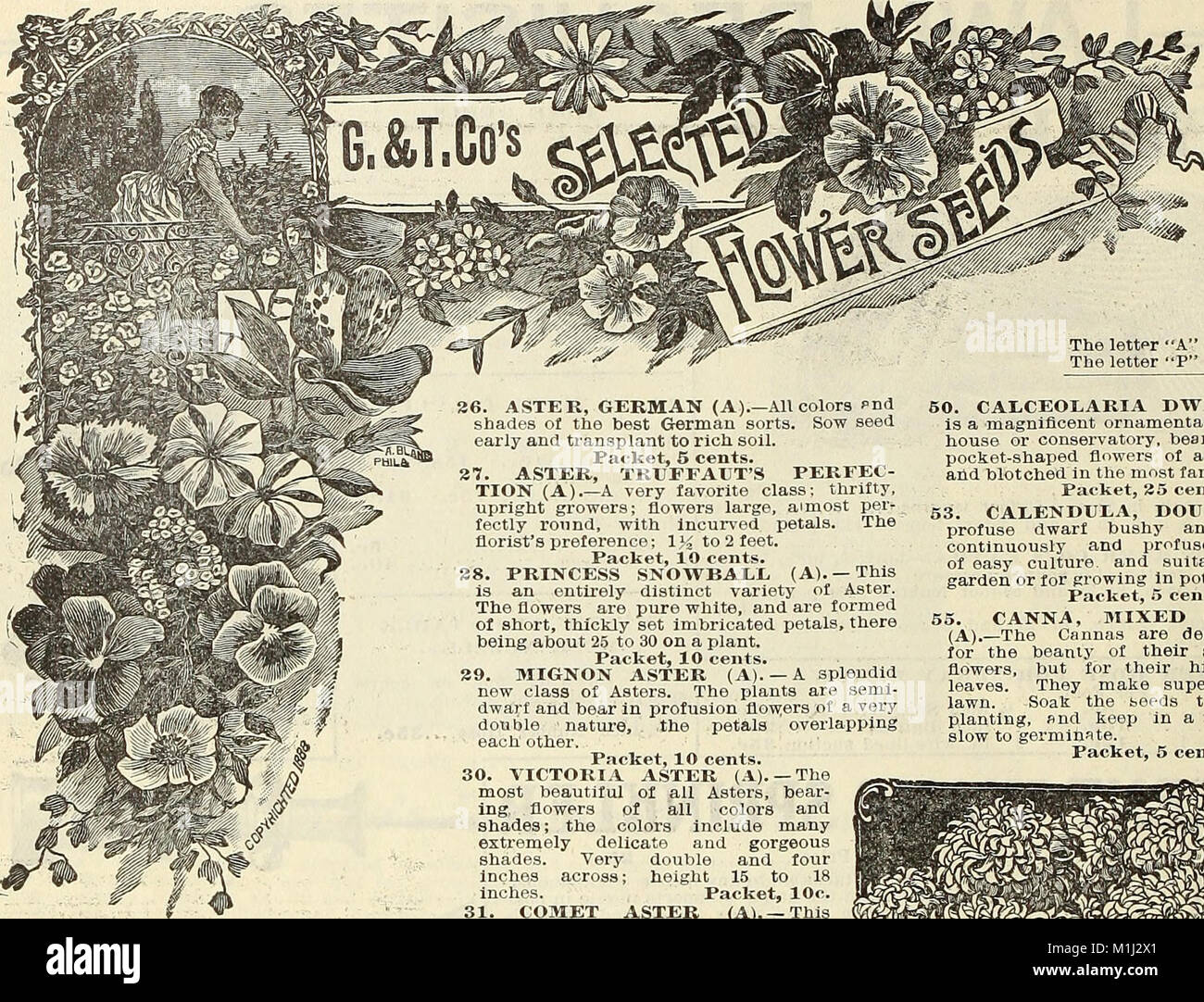 The 1905 catalogue from Griffith and Turner Co. showcases a variety of