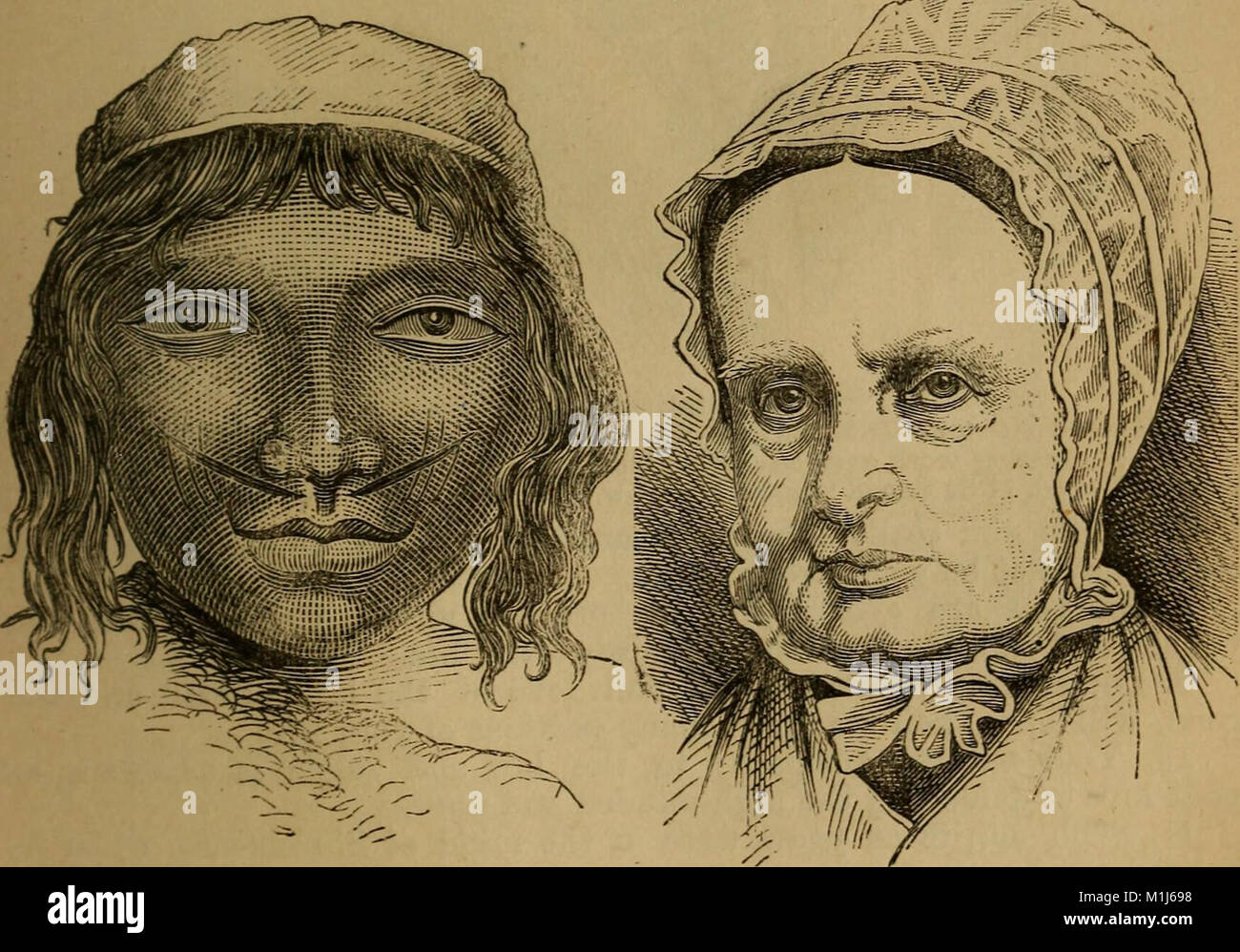 An original and illustrated physiological and physiognomical chart