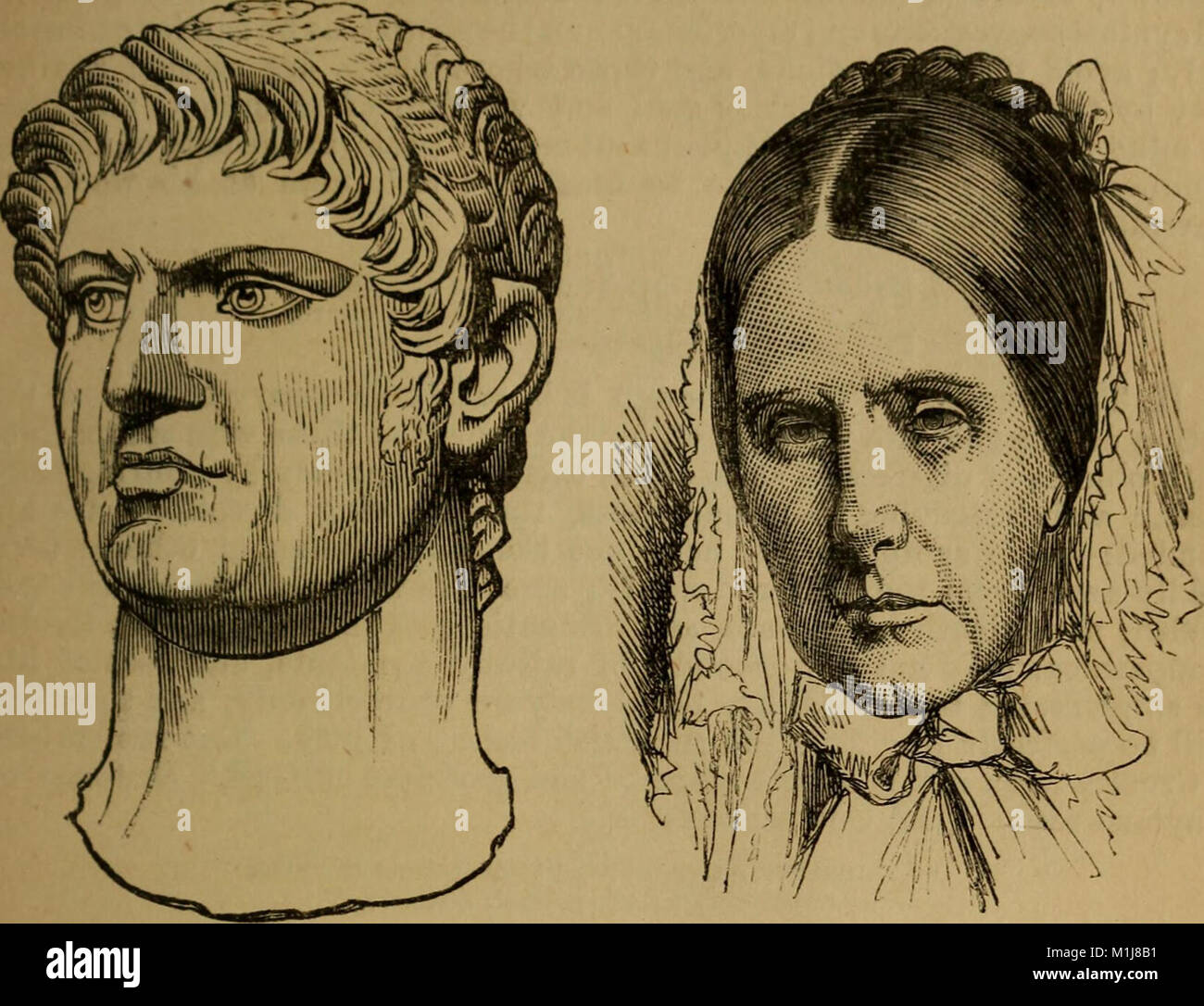 Physiological Chart An original and illustrated physiological and physiognomical chart ...
