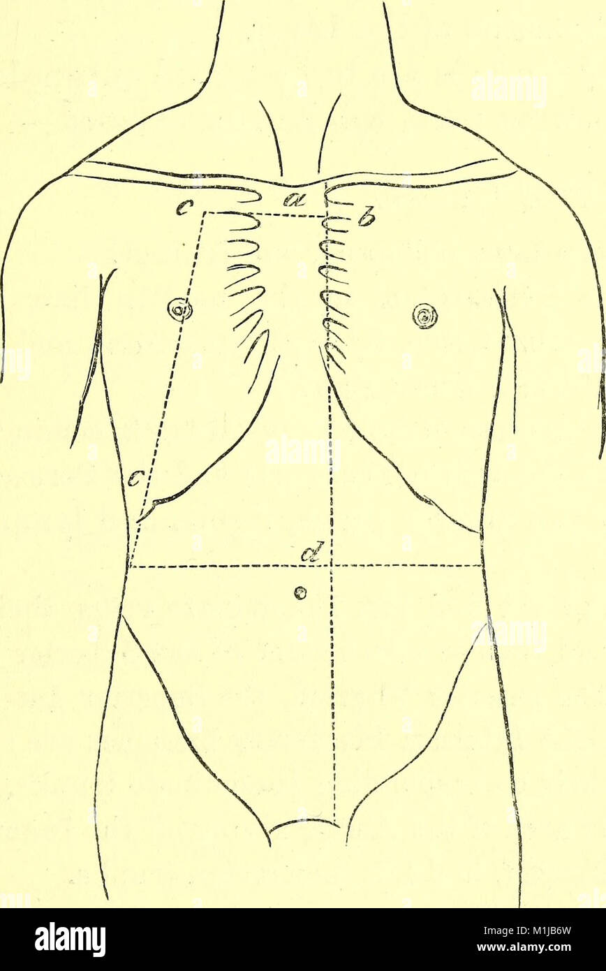 A manual of dissections of the human body (electronic resource) - for ...