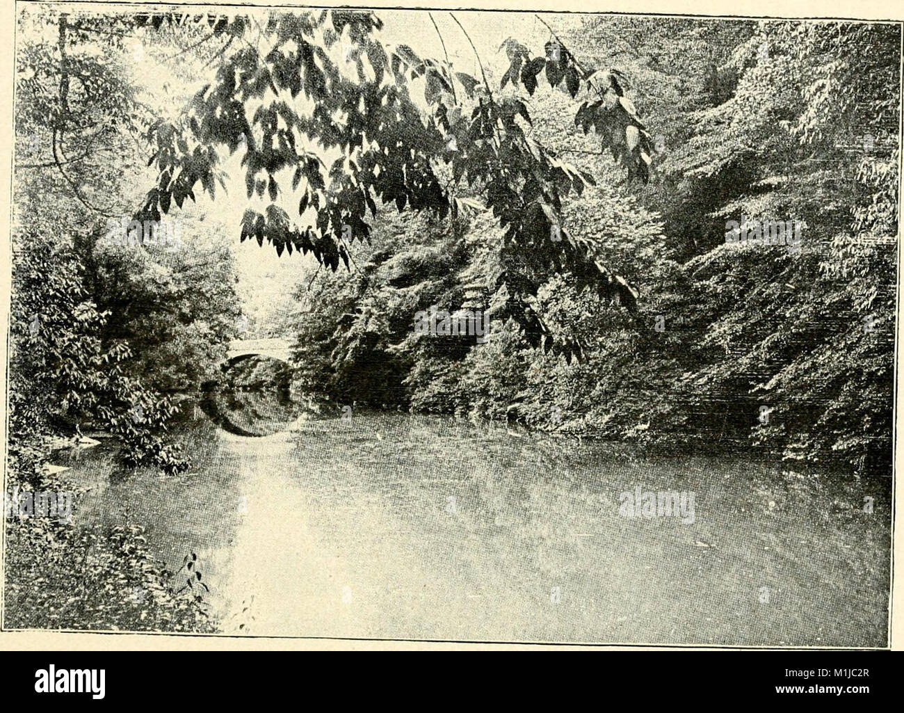 A history of the German Baptist Brethren in Europe and America (1899