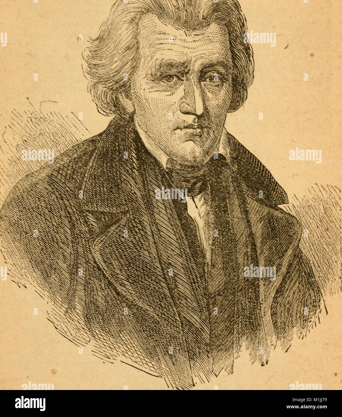 Andrew Jackson 02 Stock Photo Alamy