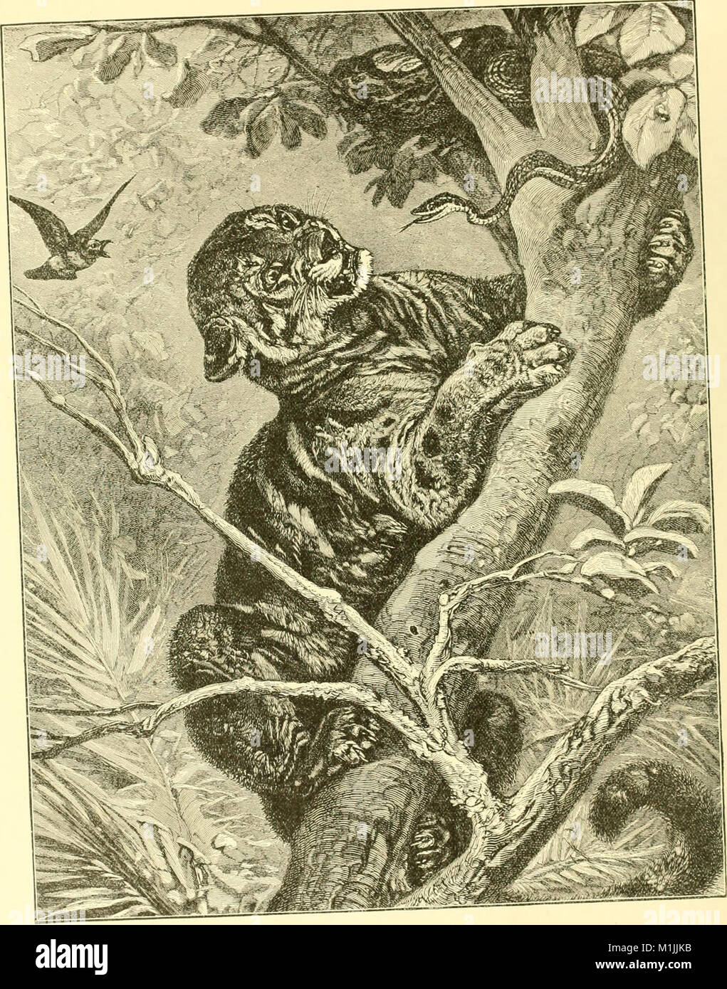 Serval Python Snake This scene depicts a serval encountering a snake, showcasing the ...