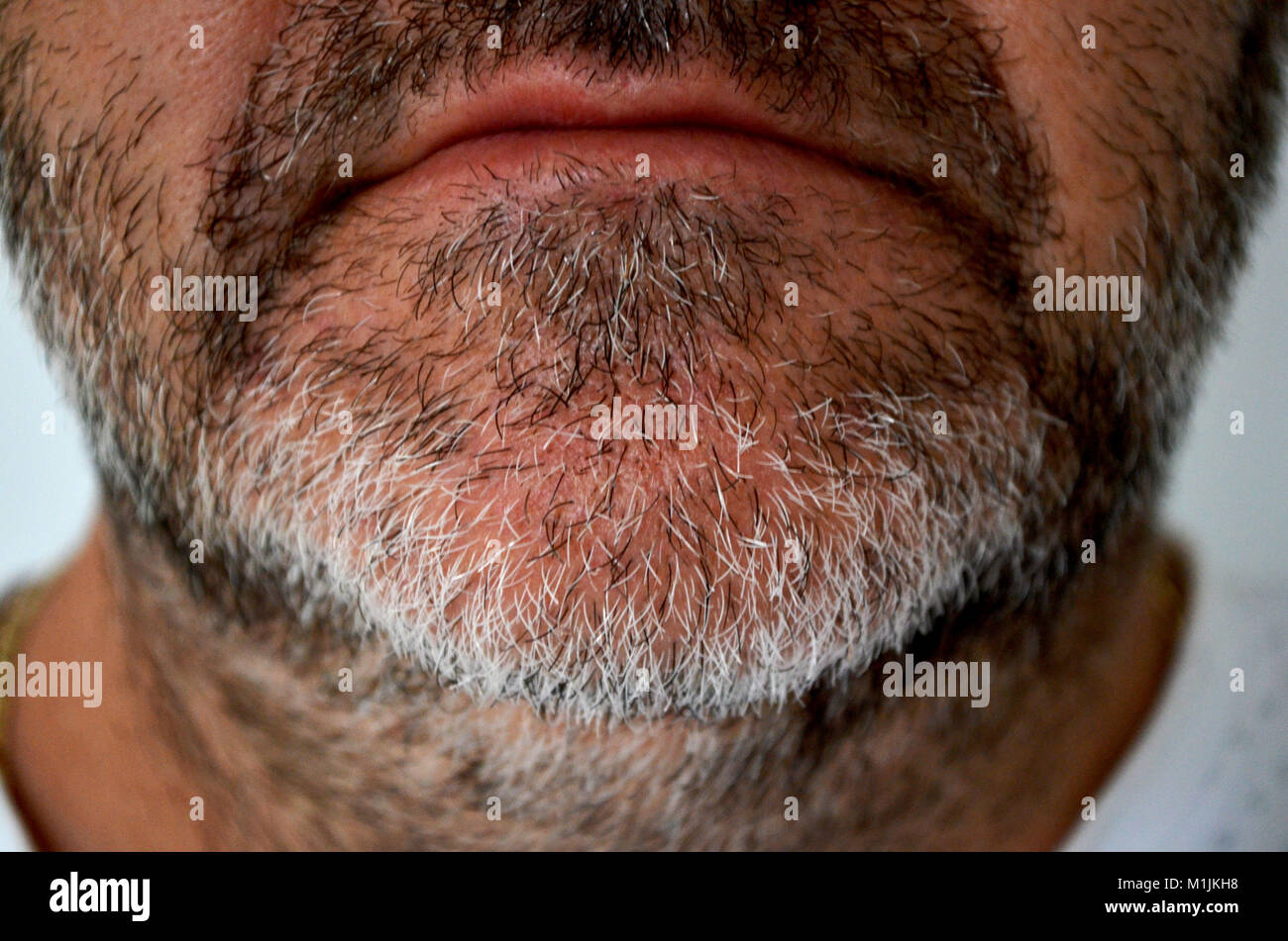 self-isolating Grey and black beard hair Stock Photo