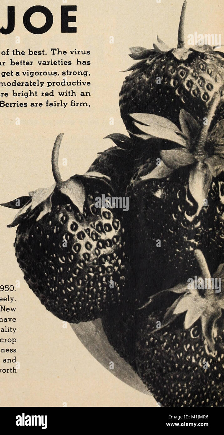 Allen's 1954 Book of Berries provides a comprehensive guide to berry ...