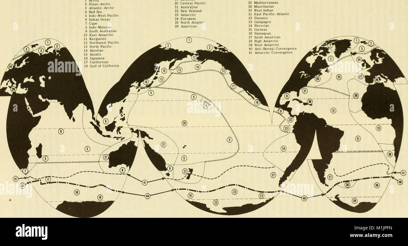 'Animal Ecology' (1961) explores the relationships between animals and ...