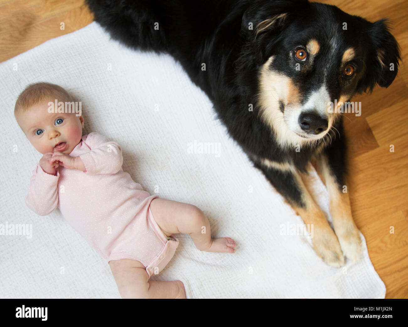 High Angle View of Baby and Dog Laying on Floor Stock Photo