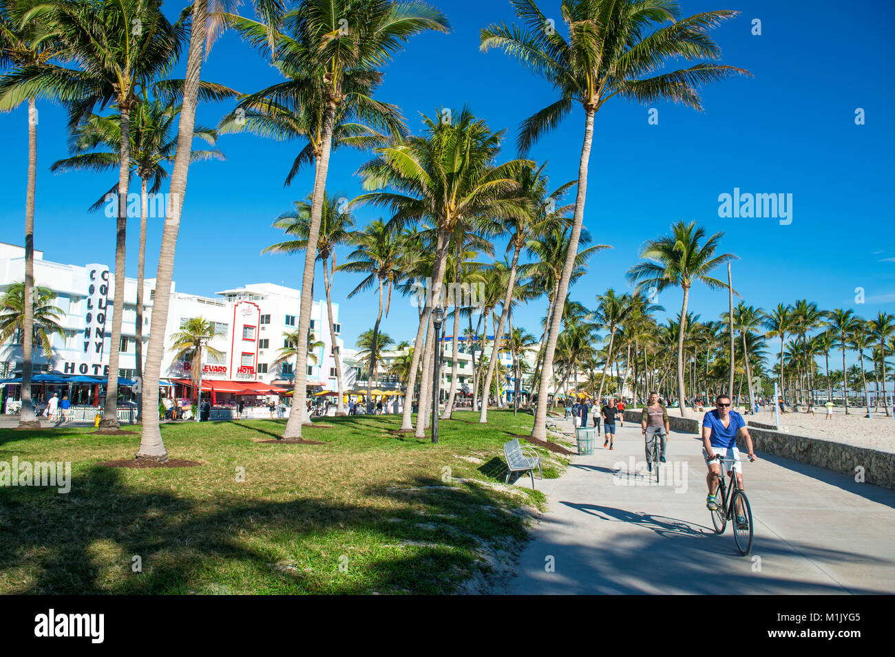 MIAMI - DECEMBER 27, 2017: Cyclists and joggers share the morning beachfront boardwalk promenade at Lummus Park in South Beach. Stock Photo