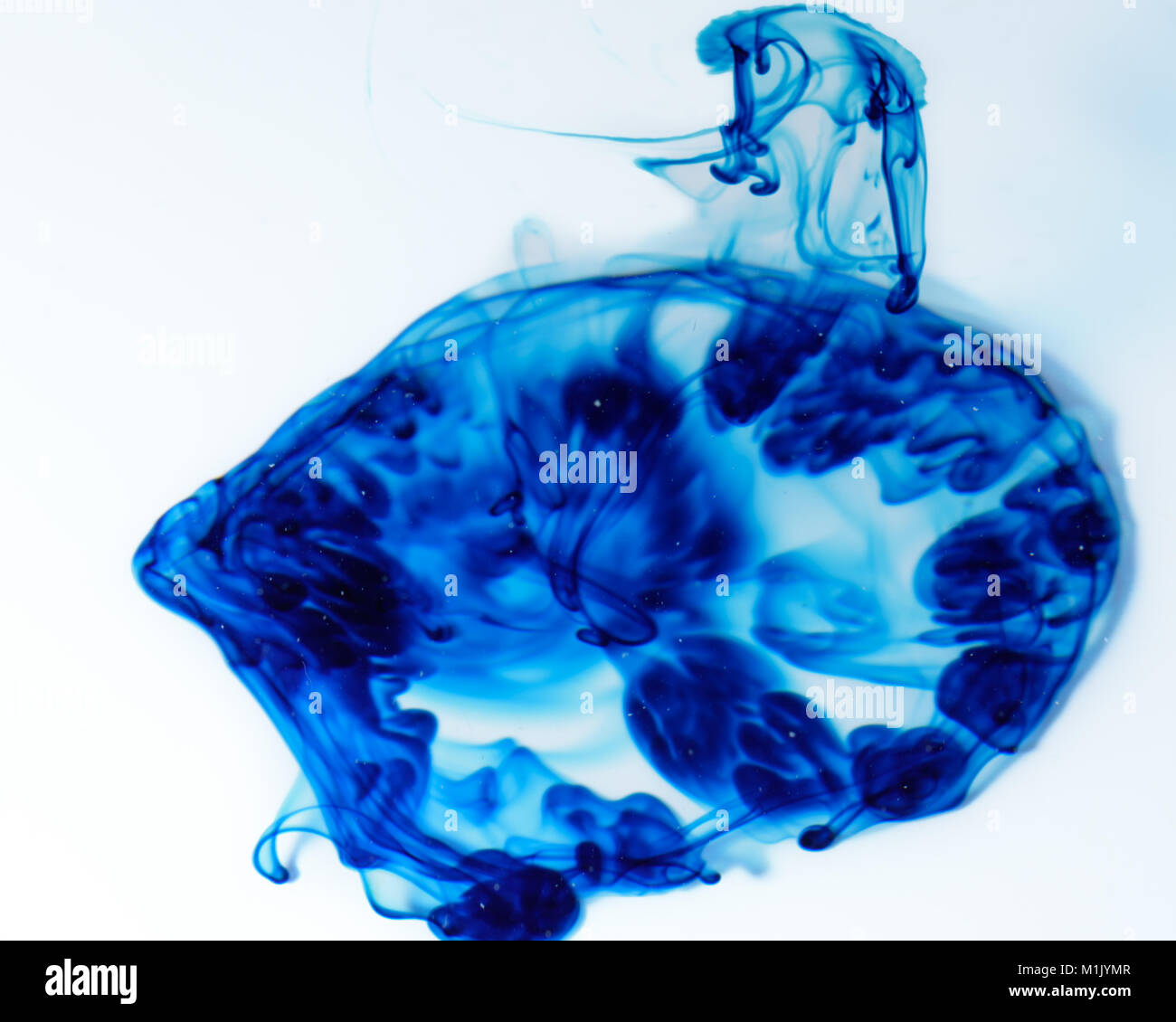 Blue food coloring dispersing in water against a white background. Stock Photo