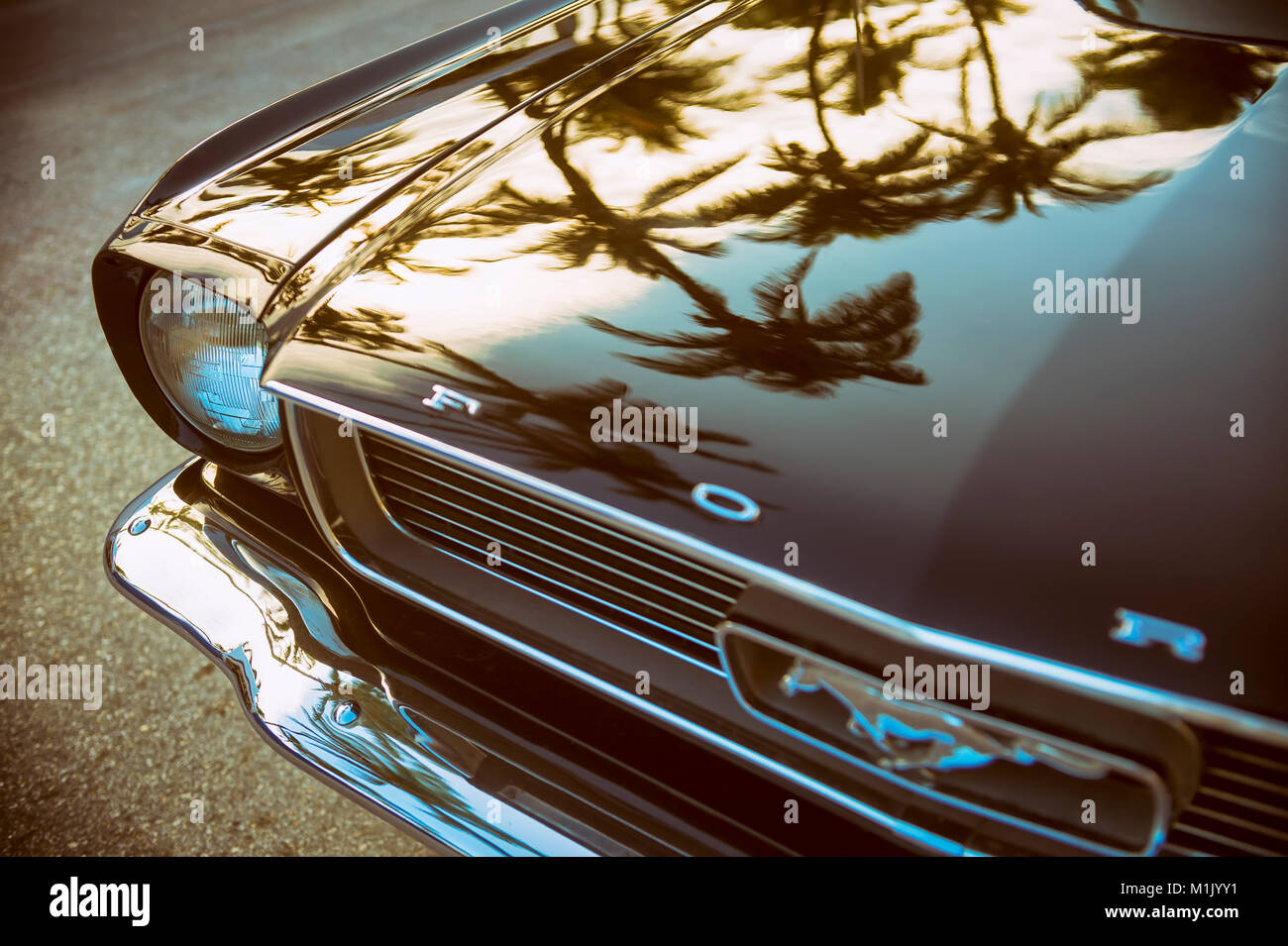 MIAMI - JANUARY 14, 2018: Palm tree silhouettes reflect on the hood of an antique Ford Mustang car parked on Ocean Drive. Stock Photo