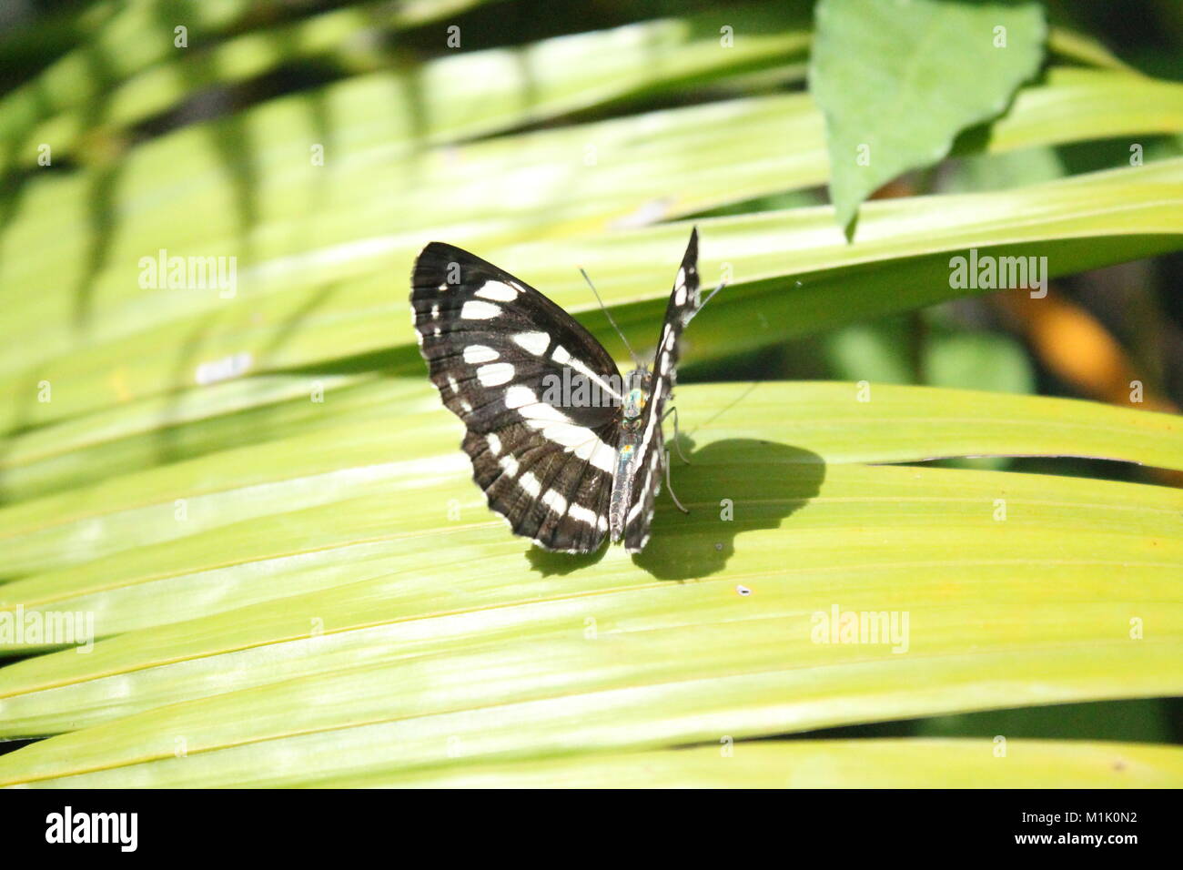 the beauty of westerm australia Stock Photo