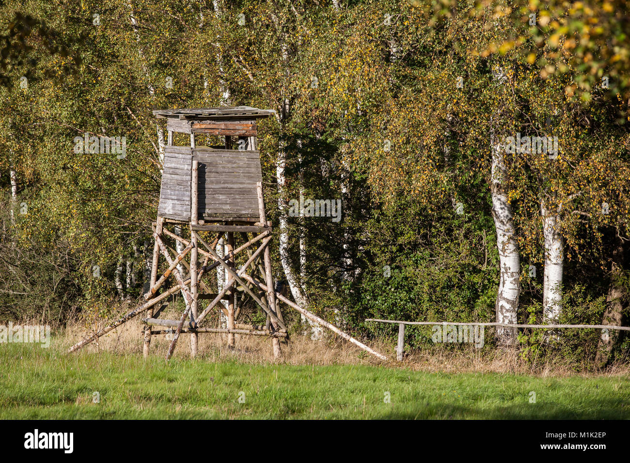 Hochsitz im Harz Stock Photo Alamy