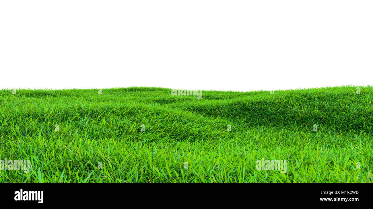 Green grass field isolated on white background Stock Photo - Alamy