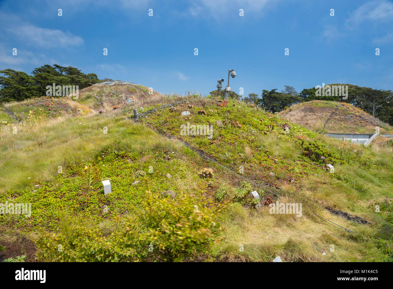 Interior view of the California Academy of Sciences Museum, Golden Gate