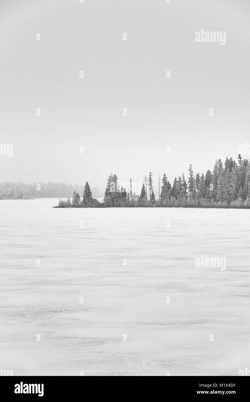 Frozen winter landscape, Elk Island National Park, Alberta, Canada