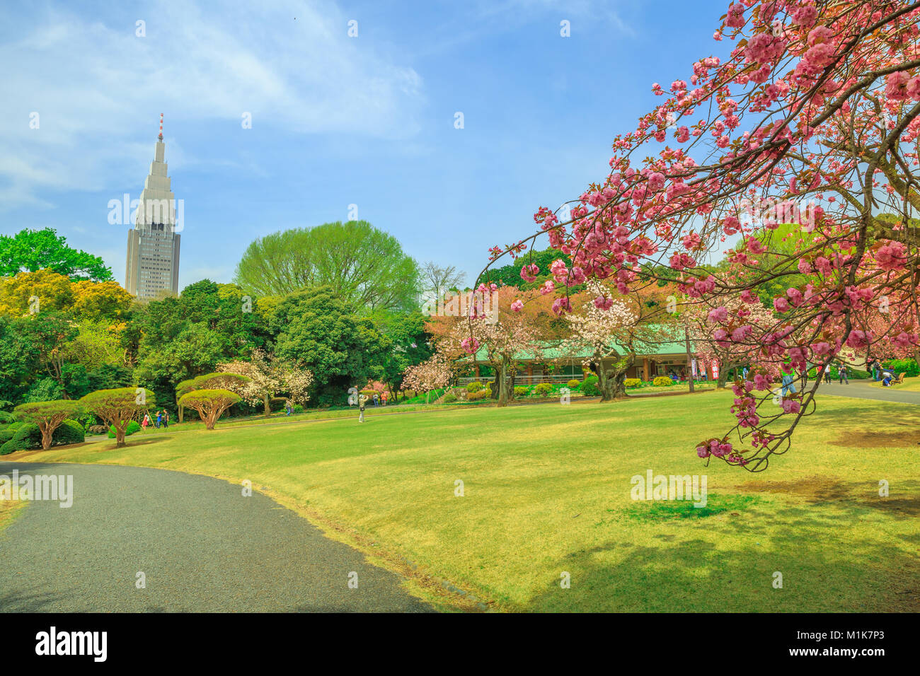Shinjuku gyoen hanami hi-res stock photography and images - Alamy