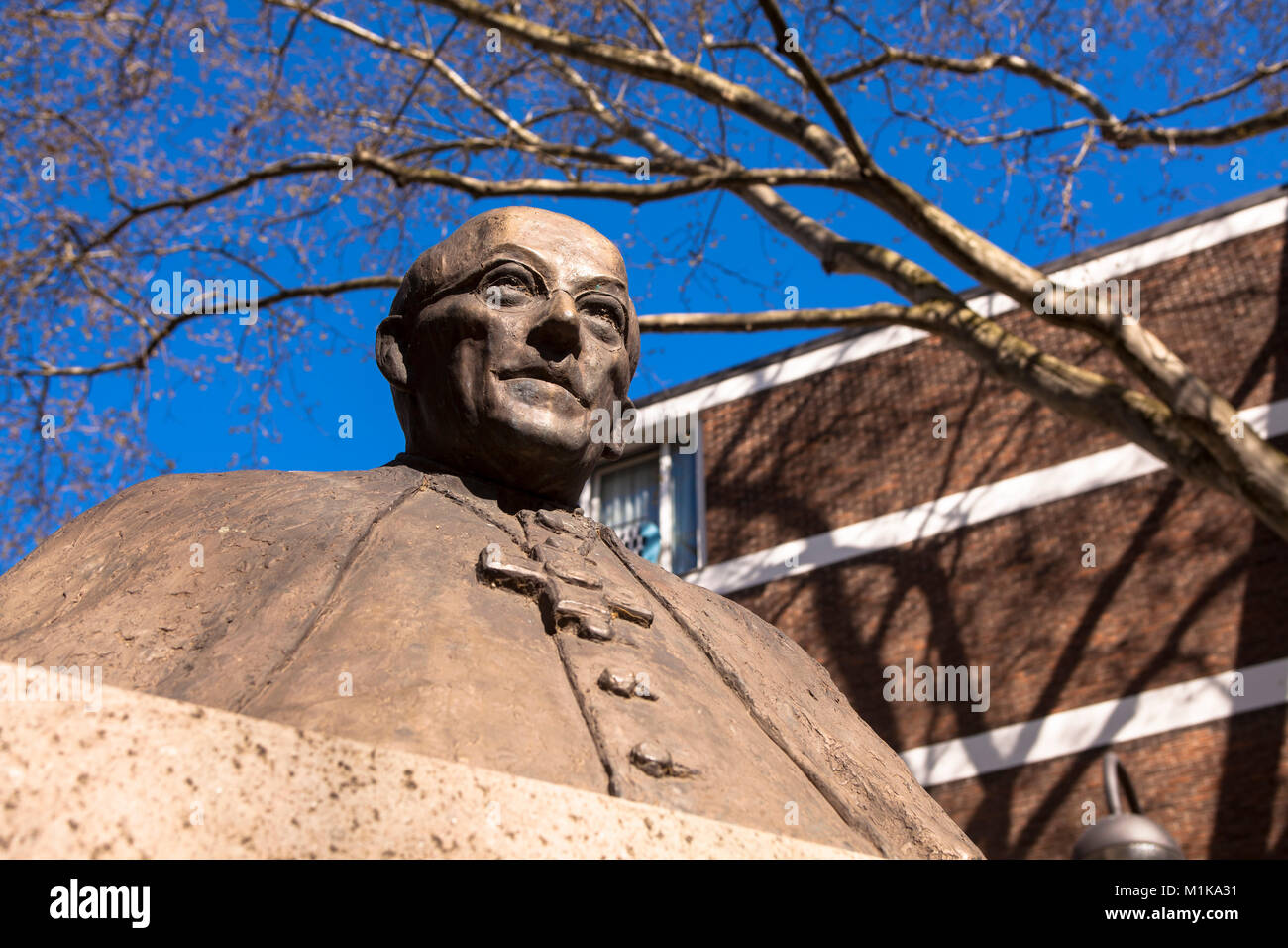 Frings Stock Photos Frings Stock Images Alamy