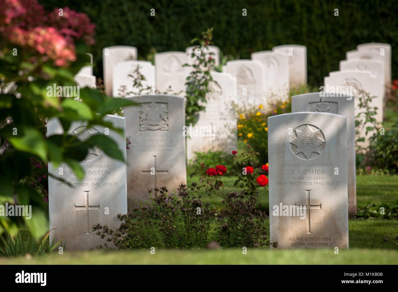 Germany, Cologne, Commonwealth War Graves Commission Cemetery within Cologne Southern Cemetery in the district Zollstock, the Commonwealth War Cemeter Stock Photo